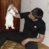 Аватара пользователя