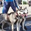 Аватара пользователя