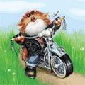 Аватара пользователя