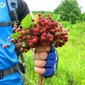 Аватара пользователя