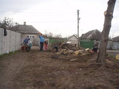 P1010709...............jpg