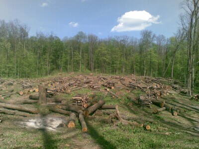 01052013_001.jpg