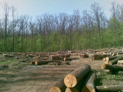 01052013_002.jpg