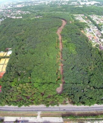 37421187.jpg (114.9 КБ) Просмотров: 4242 37421187.jpg