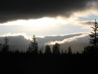 IMG_5200.jpg