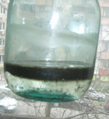 P1010005.JPG