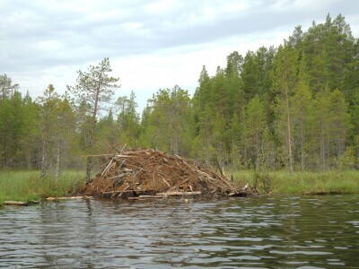 DSCN0911.jpg