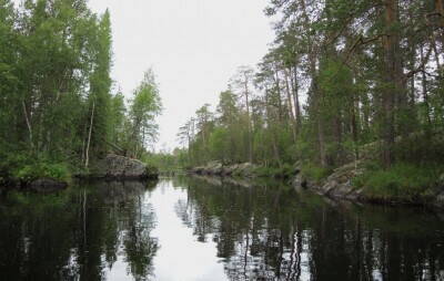 DSCN0985.jpg