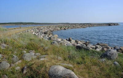 DSCN1478.jpg