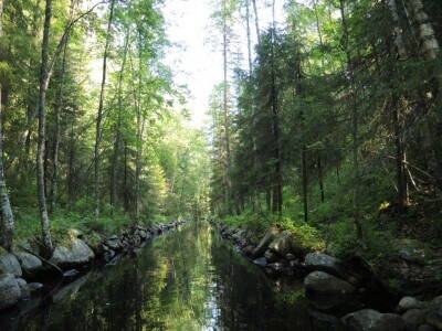 DSCN1532.jpg