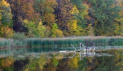 7lakes-1.jpg