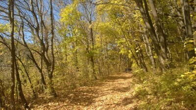 WP_20141011_008.jpg