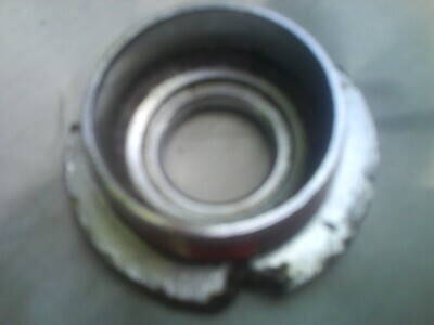 DSC01006.JPG