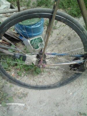 IMG332.jpg