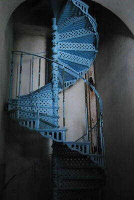 IMG_16481647069471.jpeg