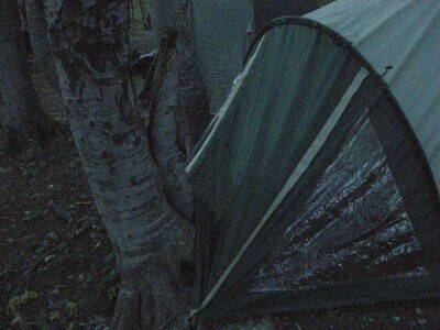 DSCN9668.JPG