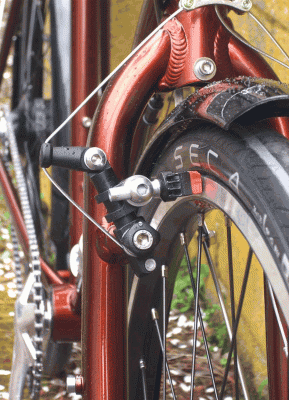 bigsqueeze1[1].gif