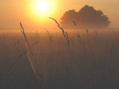 IMG_8611..jpg (126.08 КБ) Просмотров: 1620 IMG_8611..jpg