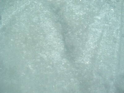 DSCN2468.JPG