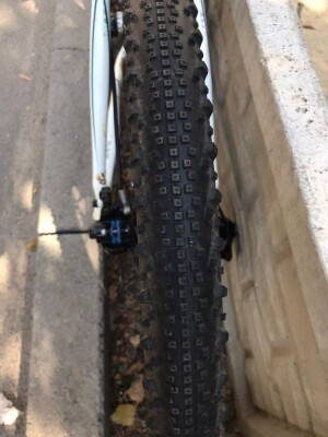 file.php?id=767113&t=1