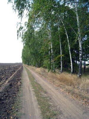 IMG_3081_новый размер.JPG