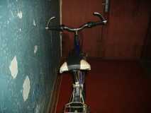 PICT0954