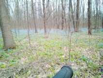 04.04.2026_квіти_вело_74 км