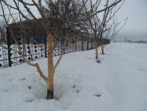 заречья еда заречья еда