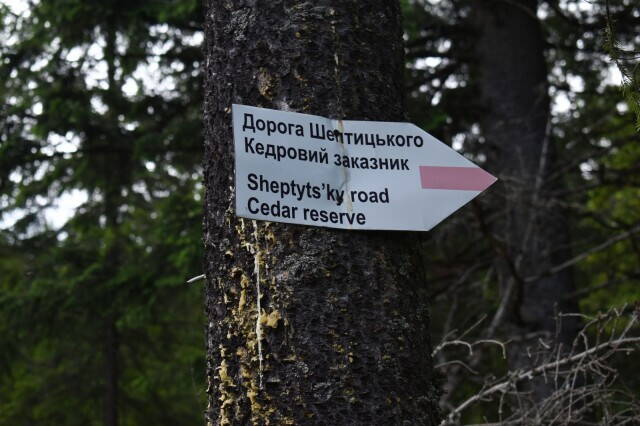 Дорога Шептицкого