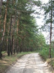 Велоразведка (Изюм-Балаклея): испытание песками