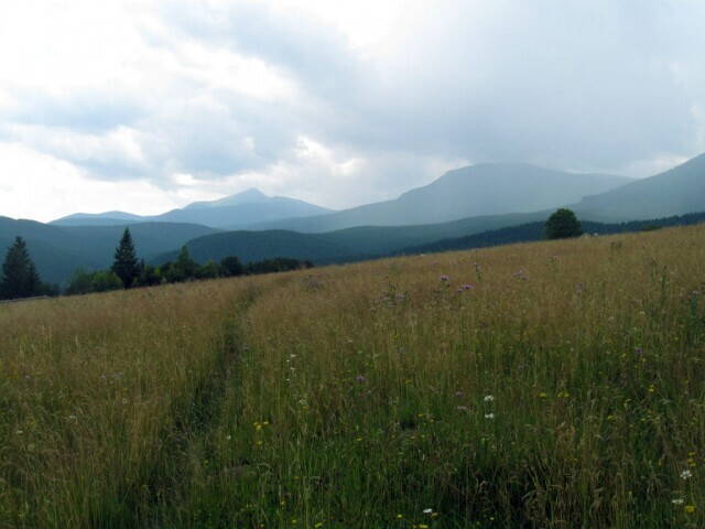 Домик в Карпатах