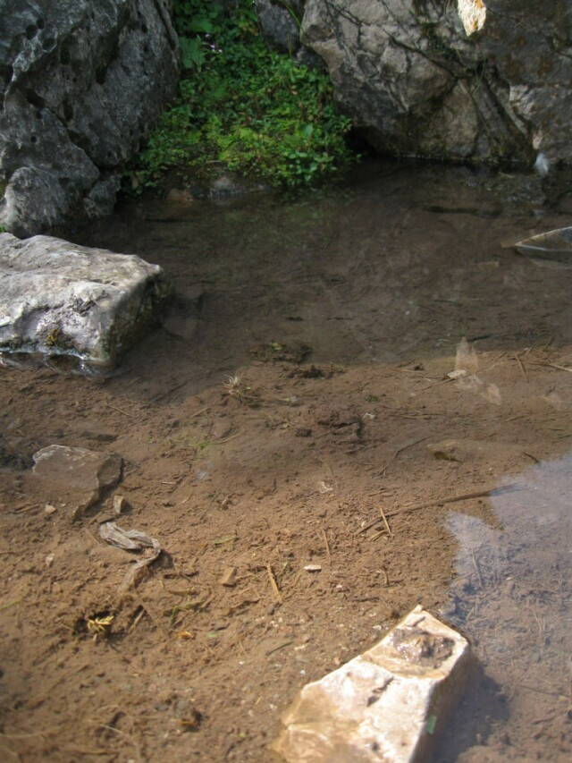 родник возле горы Петрос
