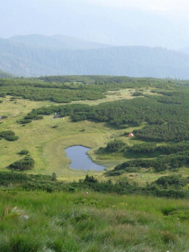 стоянка на полоныне Брескульська