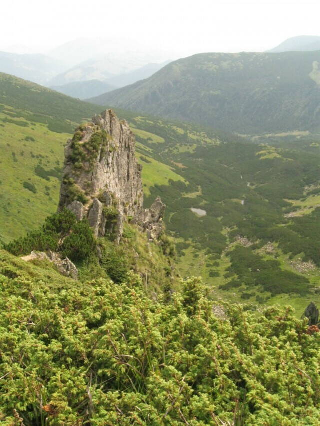 гора Шпицы Карпаты