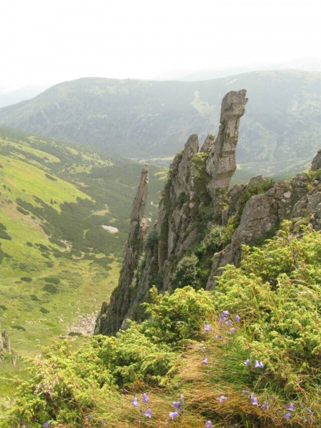 гора Шпицы Карпаты