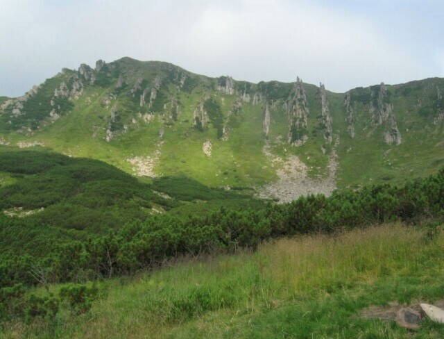 урочище Гаджина Карпаты