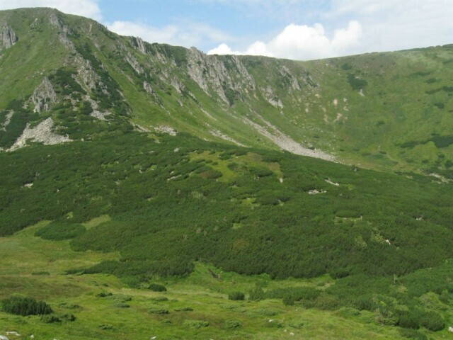 урочище Гаджина Карпаты