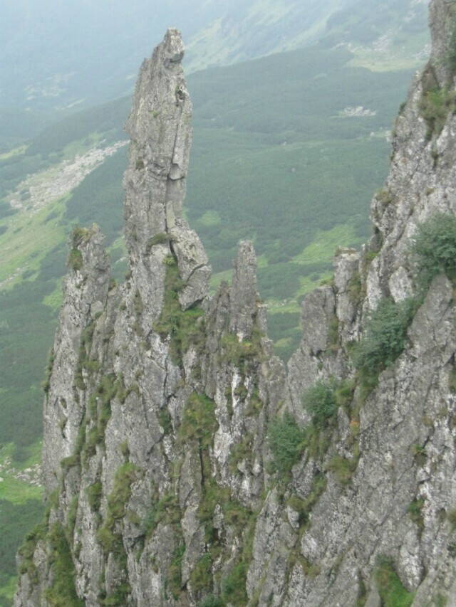 гора Шпицы Карпаты