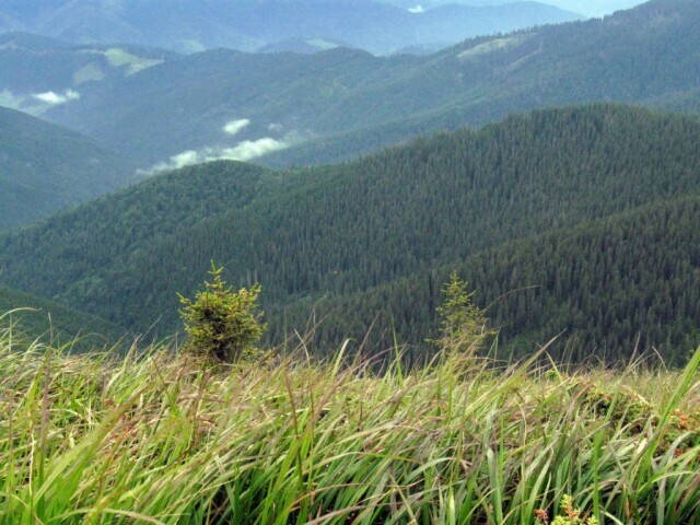 Карпаты