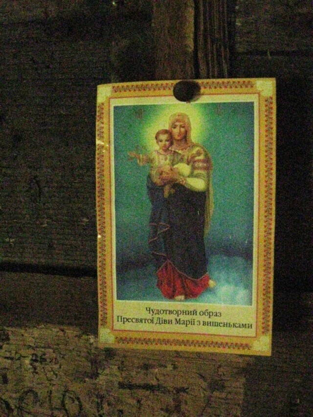 в карпатской колыбе