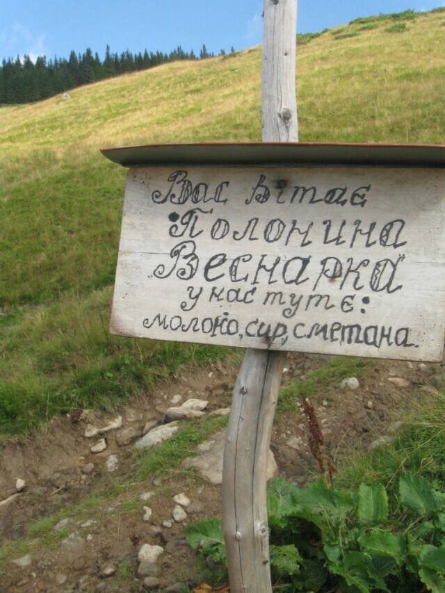 полонына Веснарка