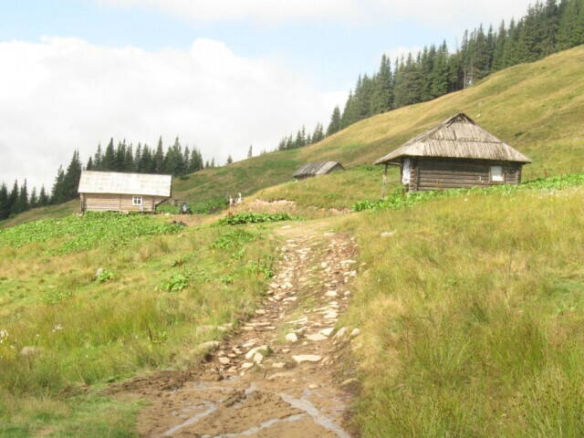полонына Веснарка