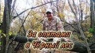 За опятами в Чёрный лес