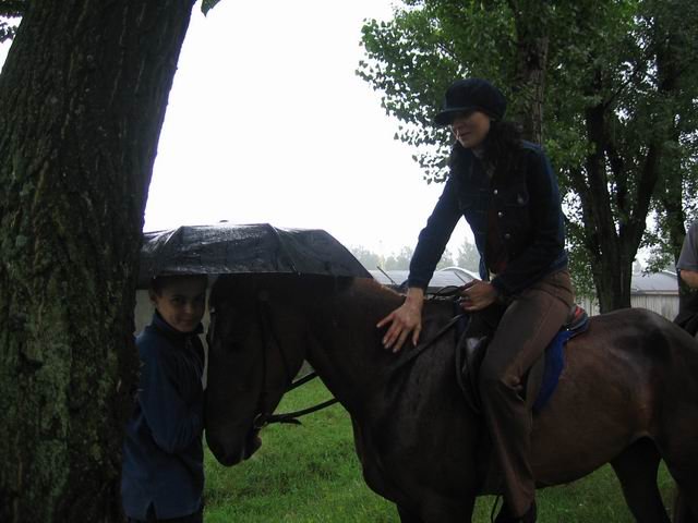 Самая умная лошадь на свете. Всадник под дождем - лошадь под зонтом