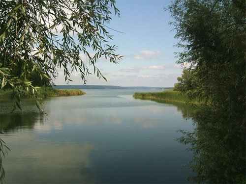 Рыбзавод(ь)