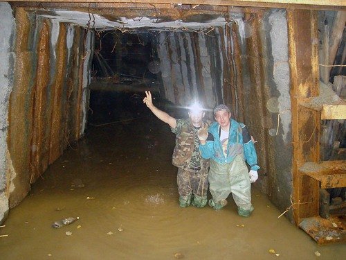 А во лбу звезда горит...