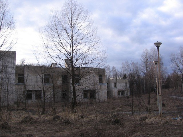 Последствия термояда :-)