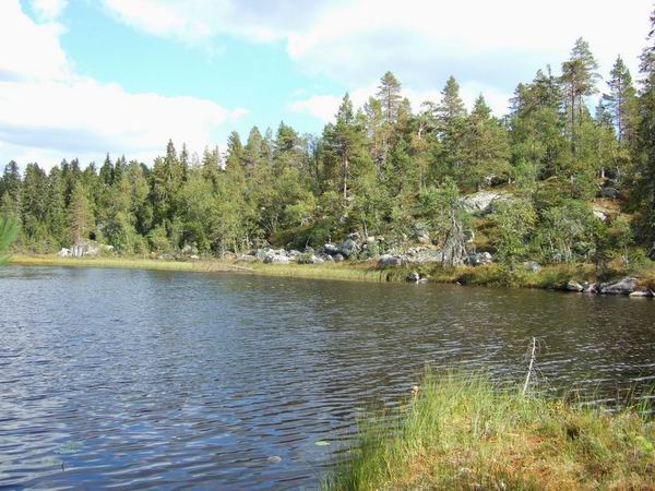 Берег ламбы
