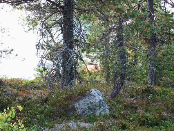 Фотографируем пожар