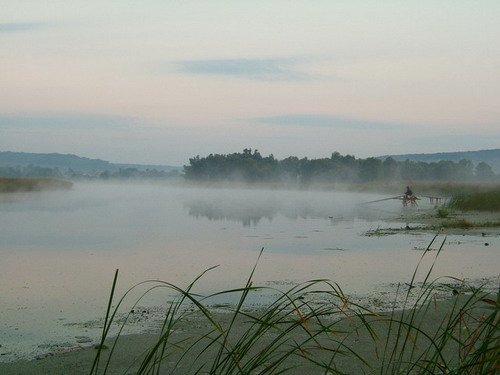 <b>В тростнике густом рыбака...</b>